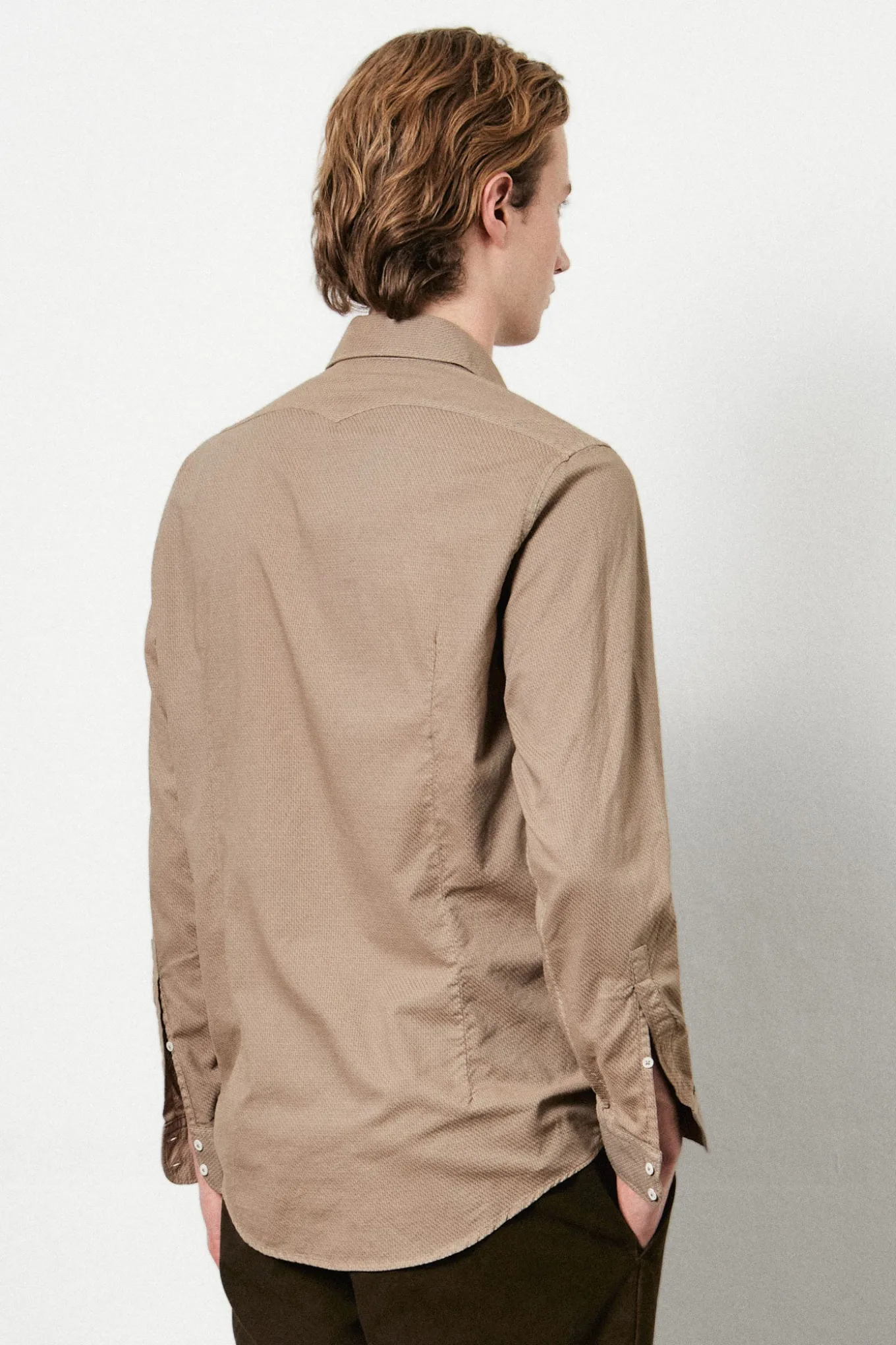 Store CANARY Shirts