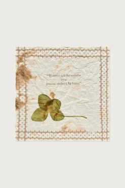 Clearance HANKY1 Handkerchiefs