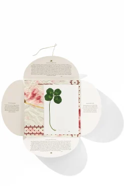 Online HANKY1 Handkerchiefs