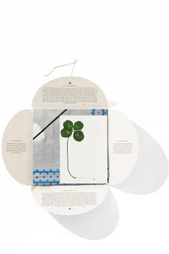 Fashion HANKY1 Handkerchiefs