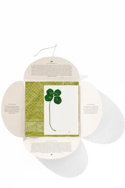 Shop HANKY1 Handkerchiefs