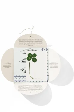 Online HANKY1 Handkerchiefs