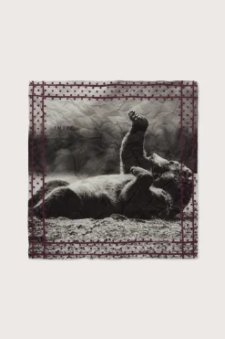 Fashion HANKY1 Handkerchiefs