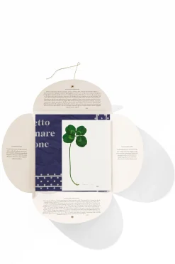 Discount HANKY1 Handkerchiefs