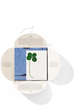 Shop HANKY1 Handkerchiefs