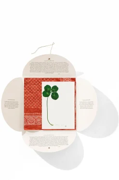 Cheap HANKY1 Handkerchiefs