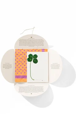 Outlet HANKY1 Handkerchiefs